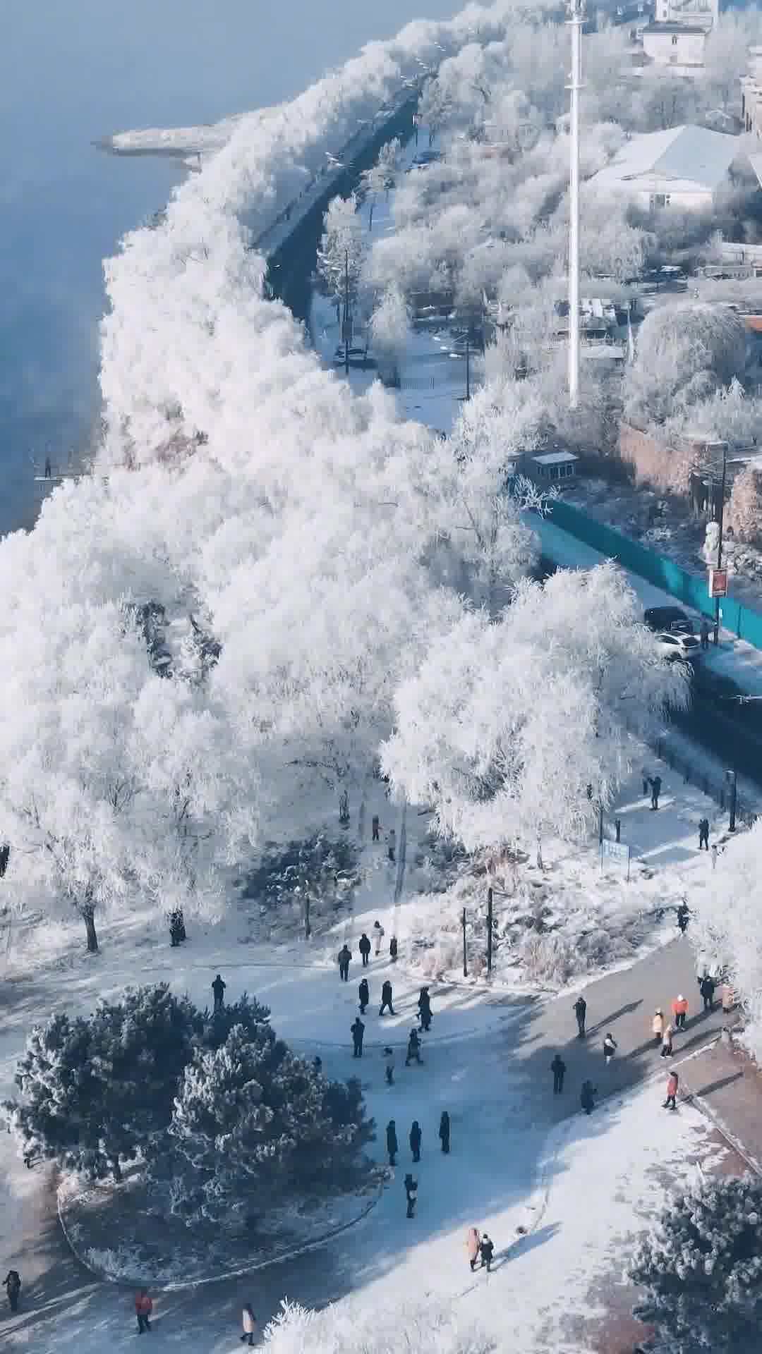 东北明珠，吉林——历史与现代交融的璀璨之地