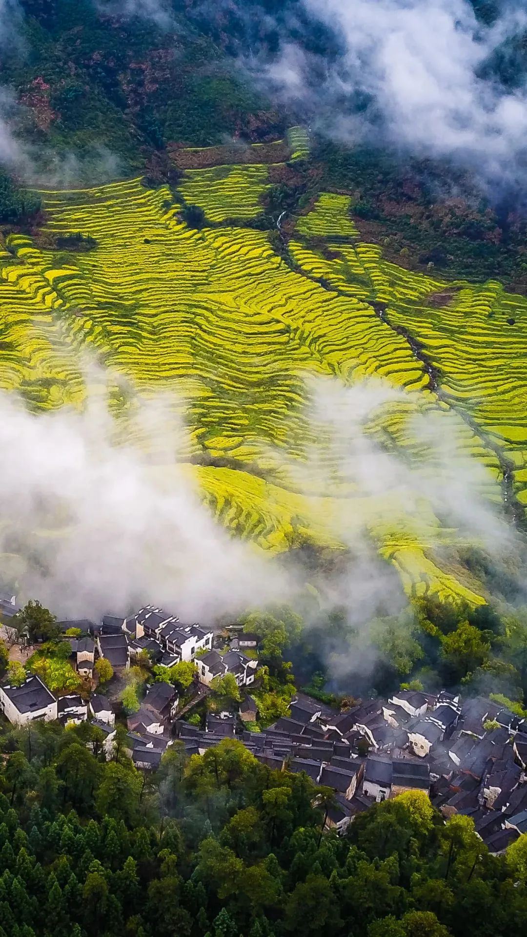 江西小巷深处的秘密花园，探寻江西特色小店之谜