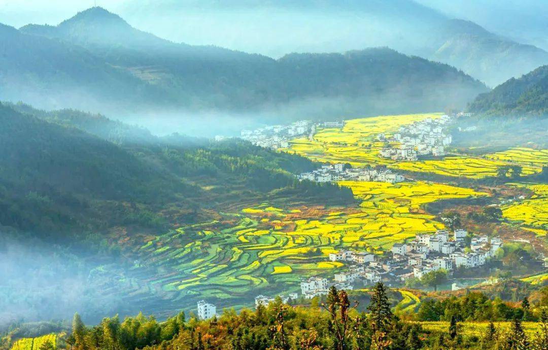 江西小巷深处的秘密花园,探寻江西特色小店之谜